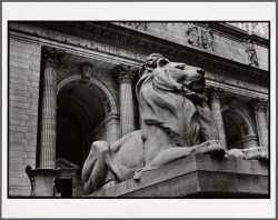 Construcción de ciudadanía desde la Biblioteca Pública de Nueva York